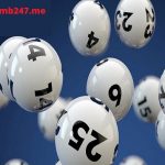 bifidox537